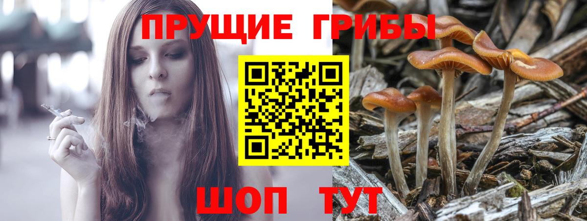 Воркута  Псилоцибиновые грибы Psilocybine cubensis  Галлюциногенные грибы MAGIC MUSHROOMS  Вход с VPN 